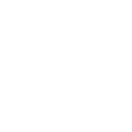 Generate QR Code Instantly